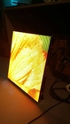Pantalla LED a todo color de HD, gabinete video del aluminio de la exhibición de pared de PH1.44mm LED